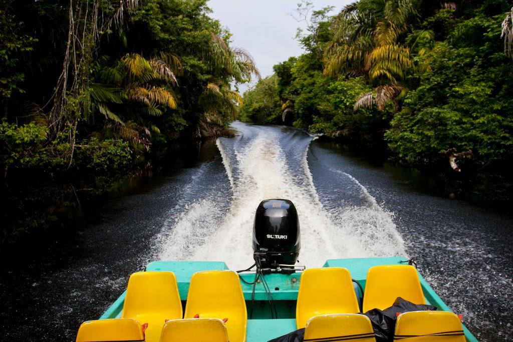 Turtle Beach Lodge Tortuguero Luaran gambar