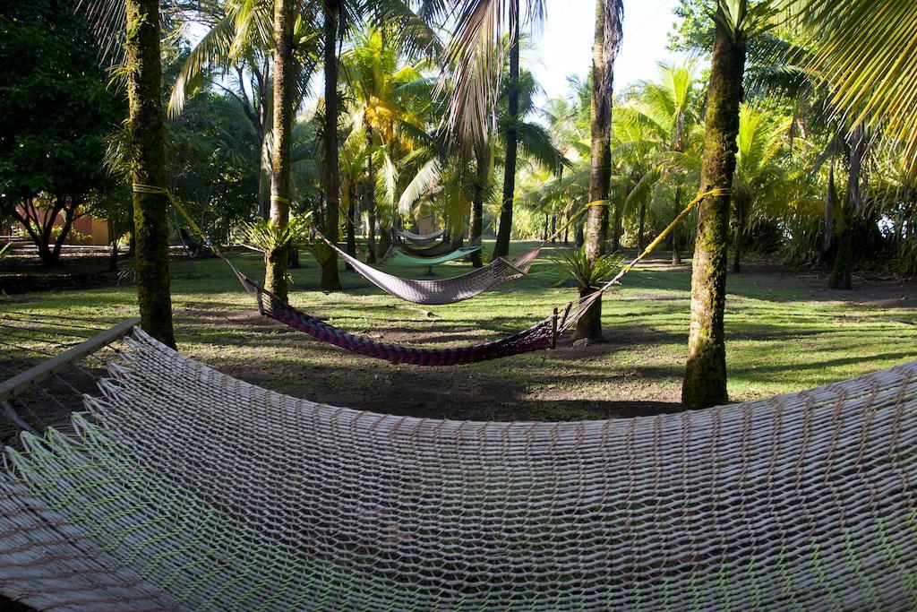 Turtle Beach Lodge Tortuguero Luaran gambar