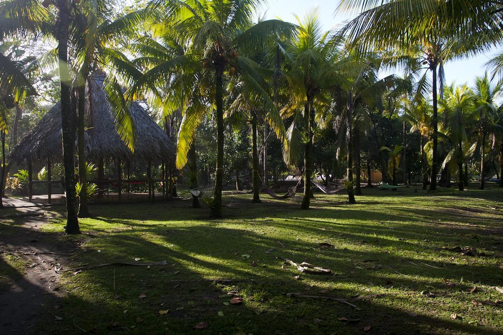 Turtle Beach Lodge Tortuguero Luaran gambar