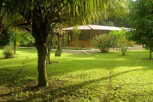 Turtle Beach Lodge Tortuguero Luaran gambar